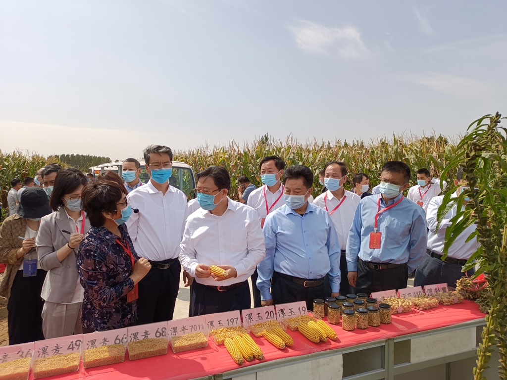 中国农民丰收节 市农科院彰显科技支撑力量